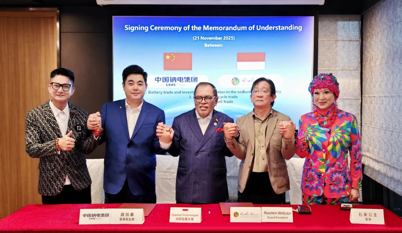 中国钠电双线领航全球产业革命，亚非布局+全链深耕+创新融资开启钠电新纪元