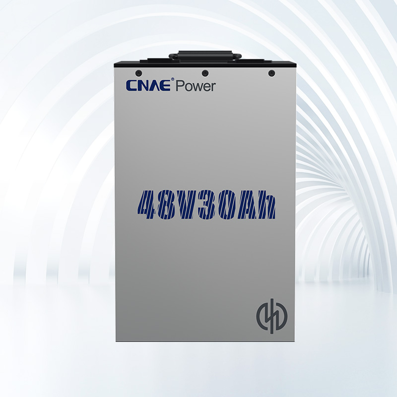 CNAE PACK NA<sup>+</sup> 48V30Ah（外卖版）