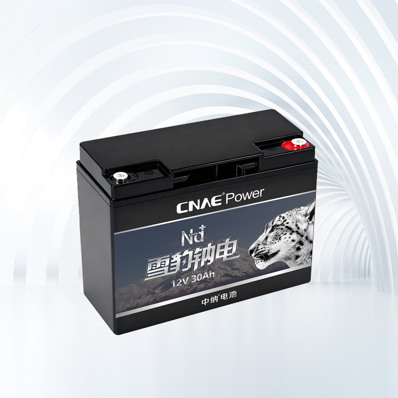 CNAE PACK NA<sup>+</sup> 12V30Ah