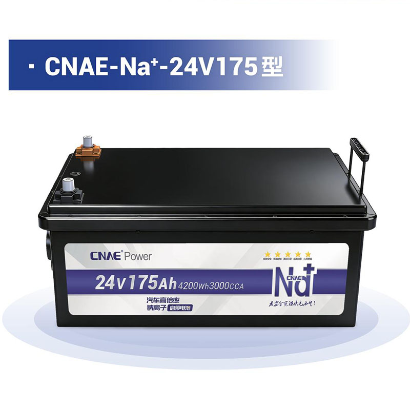 CNAE-Na<sup>+</sup>-24V175型